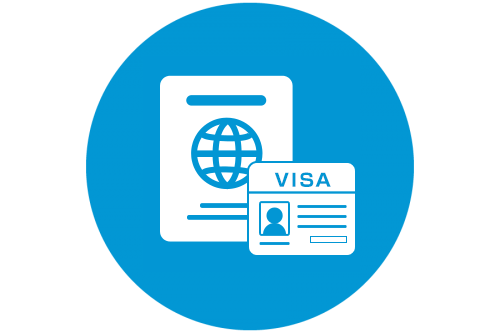 在留資格申請・許認可申請 (申请VIZA·各种营业执照)